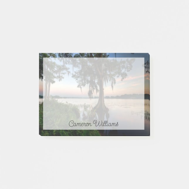 Water | Kraft Azalea Park Maitland Florida Post-it Notes (Front)