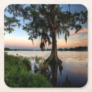 Water Kraft Azalea Park Maitland Florida Square Paper Coaster
