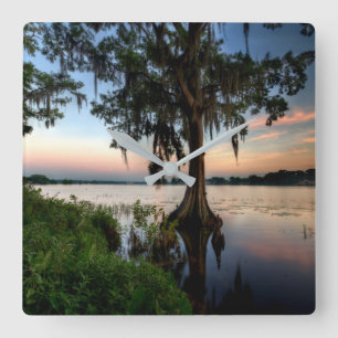 Water   Kraft Azalea Park Maitland Florida Square Wall Clock