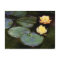 Water-Lilies: 1897-98 by Monet