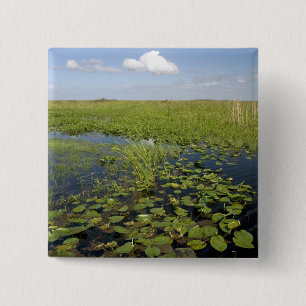 Water lilies and sawgrass in Florida everglades 2 15 Cm Square Badge