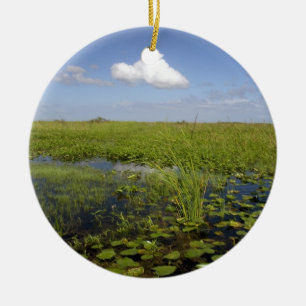 Water lilies and sawgrass in Florida everglades Ceramic Ornament