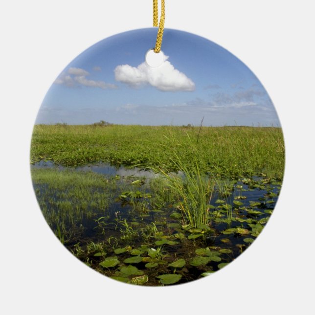Water lilies and sawgrass in Florida everglades Ceramic Ornament (Front)