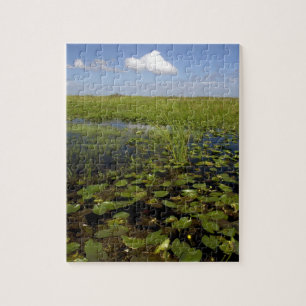 Water lilies and sawgrass in Florida everglades Jigsaw Puzzle