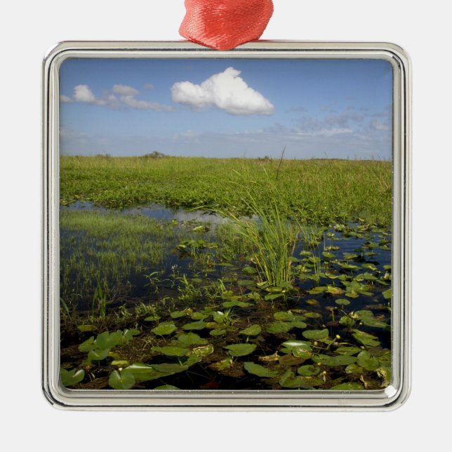 Water lilies and sawgrass in Florida everglades Metal Ornament (Front)