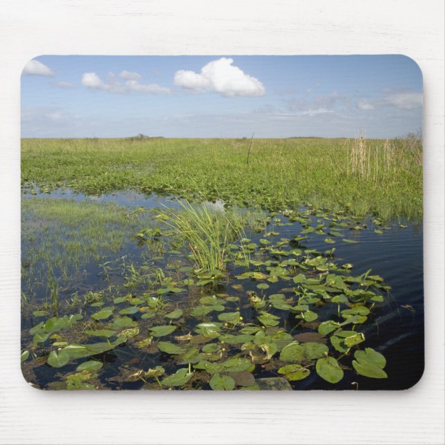 Water lilies and sawgrass in Florida everglades Mouse Pad (Front)