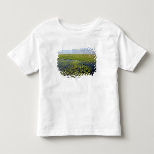 Water lilies and sawgrass in Florida everglades Toddler T-Shirt