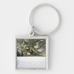 Water-Lilies and Water Fairies, illustration from Key Ring