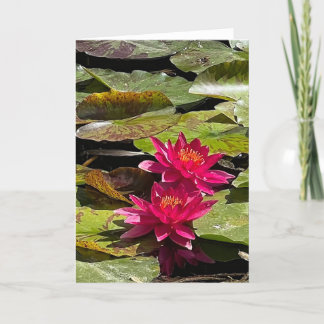 Water Lilies Blank Note Card