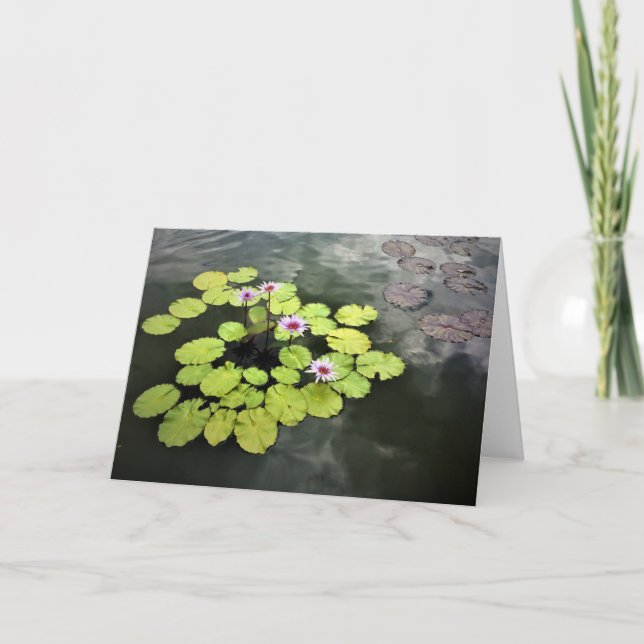 Water Lilies card (Front)