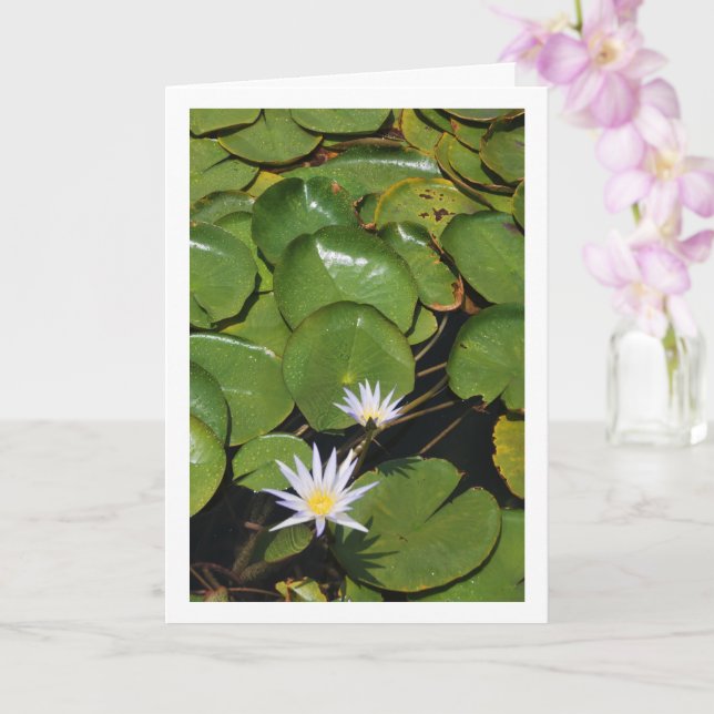 Water Lilies Card (Orchid)
