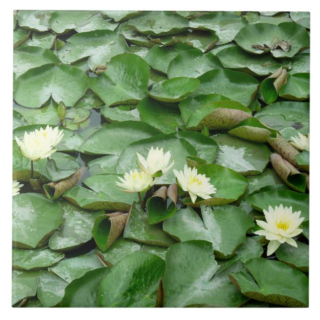 Water Lilies Ceramic Tile (Front)