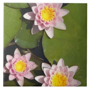Water lilies ceramic tile
