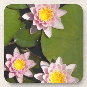 Water lilies coaster