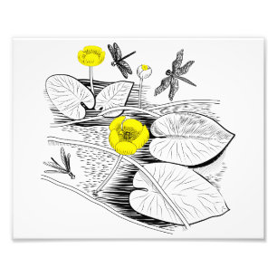 Water-lilies engraving photo print