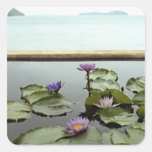 Water lilies in pond by ocean square sticker
