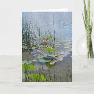 Water Lilies in the Pond Thank You Card