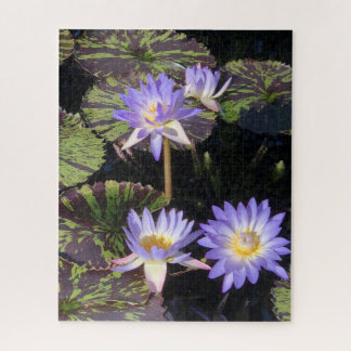 Water Lilies Jigsaw Puzzle