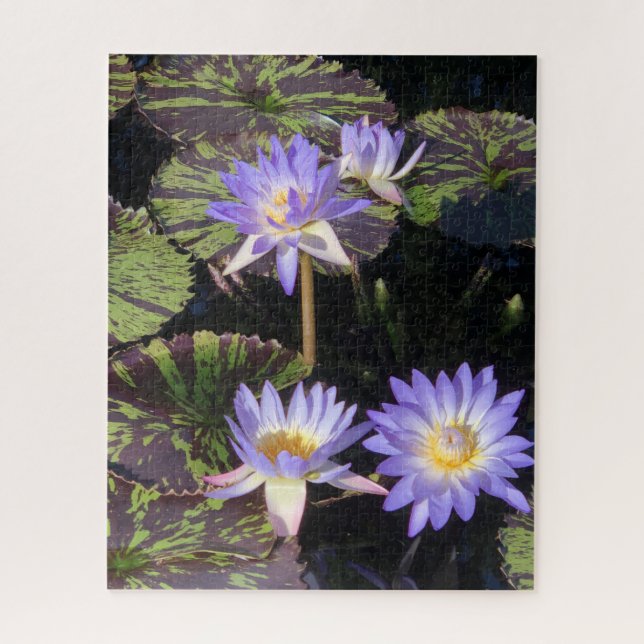 Water Lilies Jigsaw Puzzle (Vertical)
