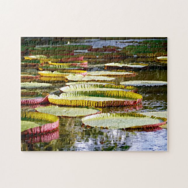 Water Lilies. Jigsaw Puzzle (Horizontal)