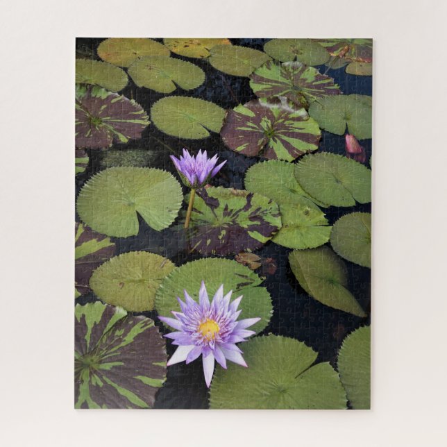 Water Lilies Jigsaw Puzzle (Vertical)
