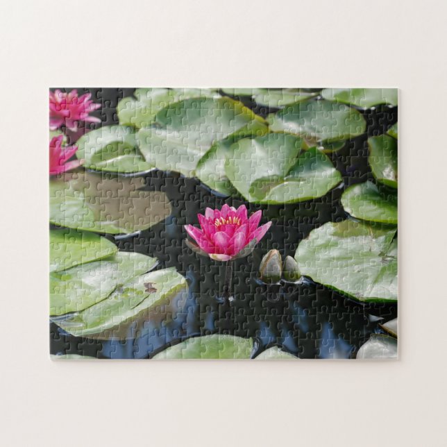 water lilies jigsaw puzzle (Horizontal)
