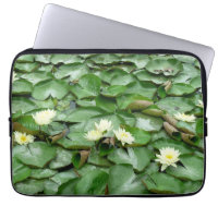 Water Lilies