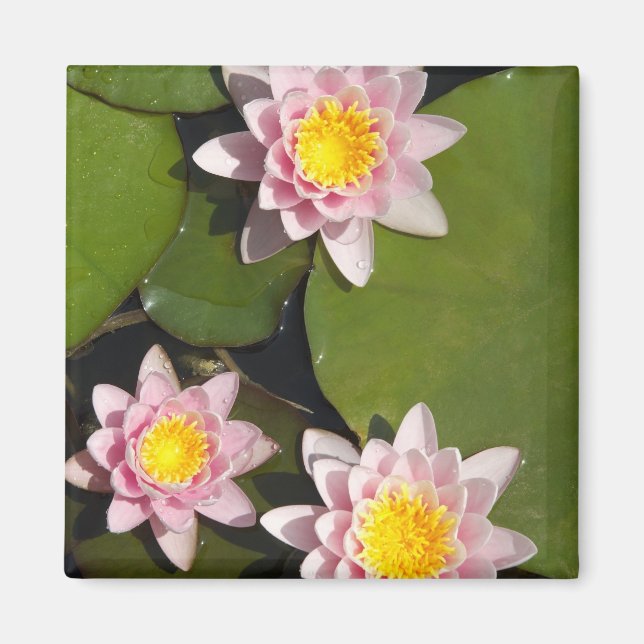 Water lilies magnet (Front)