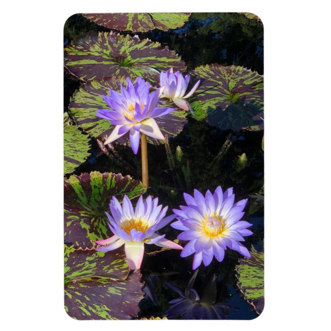Water Lilies Magnet (Vertical)