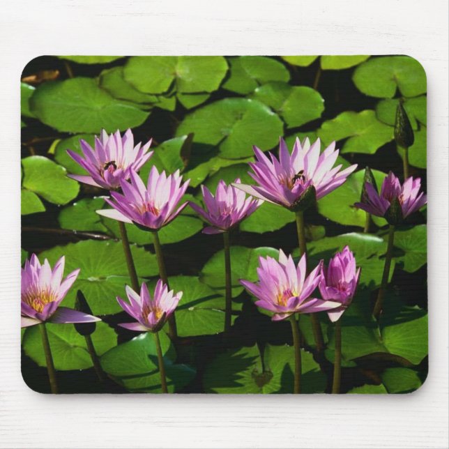 Water lilies mouse pad (Front)