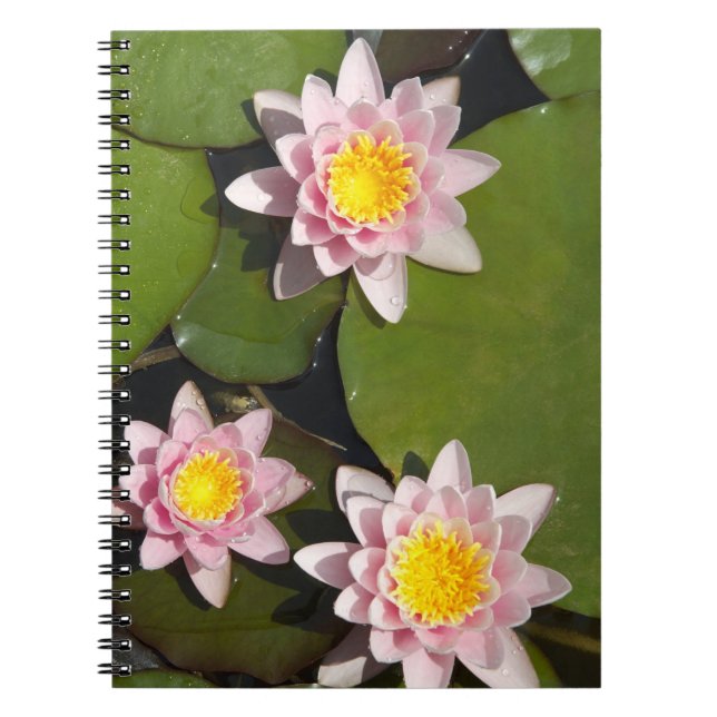 Water lilies notebook (Front)