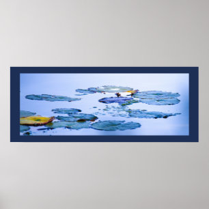 Water Lilies Photo Poster