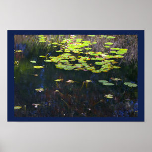 Water Lilies Photo Poster