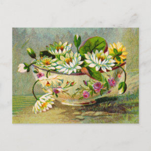 Water Lilies Postcard