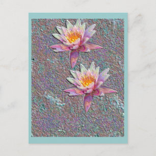 Water Lilies Postcard