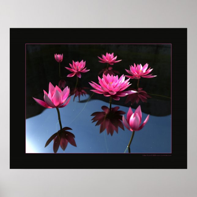 Water lilies poster (Front)