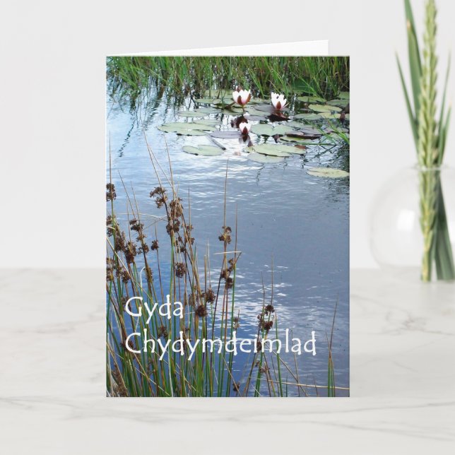Water Lilies Sympathy Card - Welsh Greeting (Front)