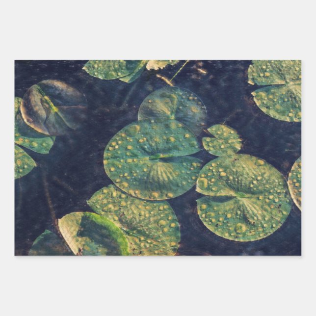 Water lilies  wrapping paper sheet (Front 3)