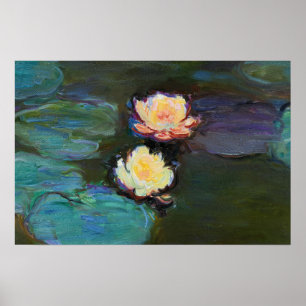 Water Lillies Botanical Painting Poster