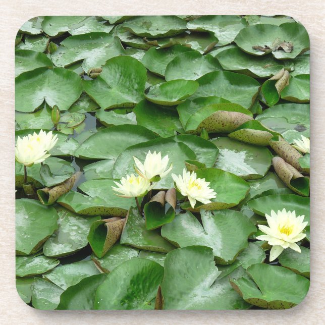 Water Lillies Coaster (Front)