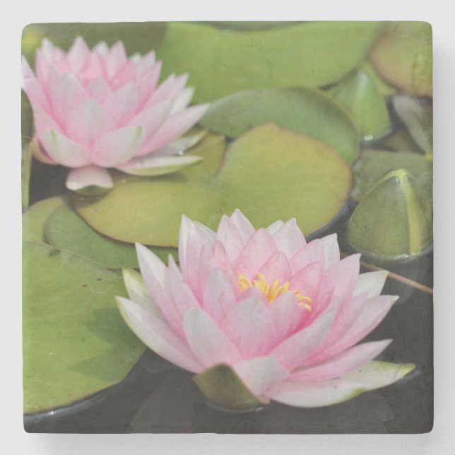 Water Lillies  Stone Coaster (Front)