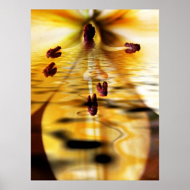 Water Lillium Print (Front)