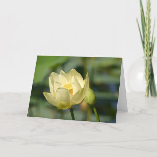 Water Lilly Lotus Card