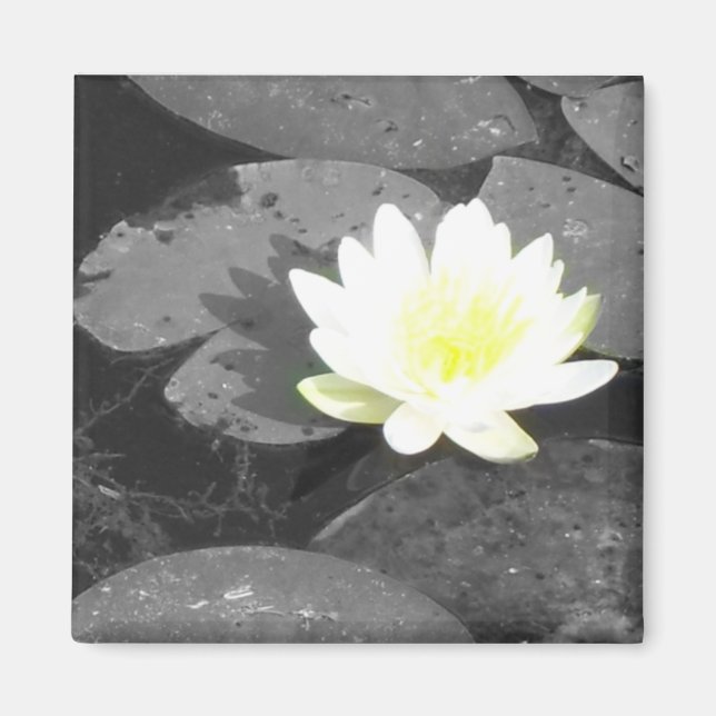 water lilly magnet (Front)