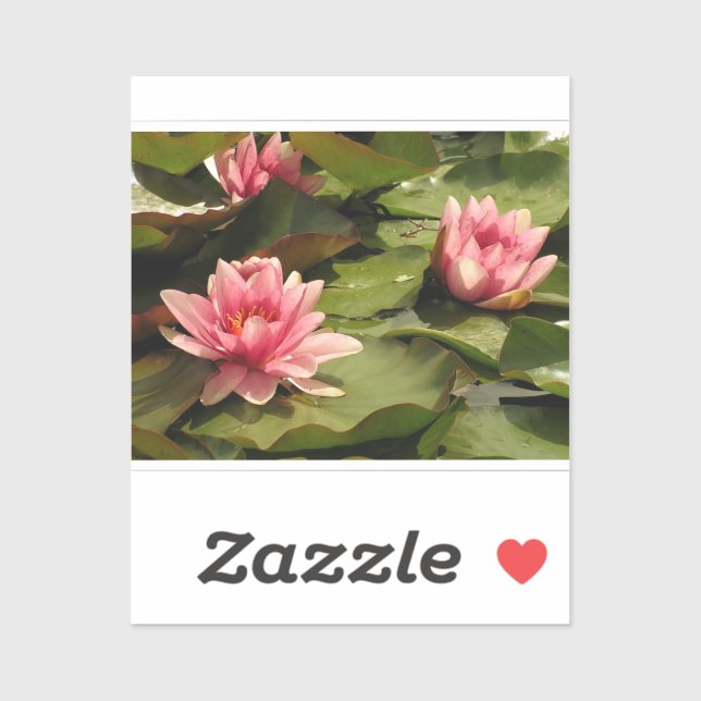 Water lilly Sticker (Sheet)