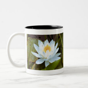 Water Lilly Two-Tone Coffee Mug