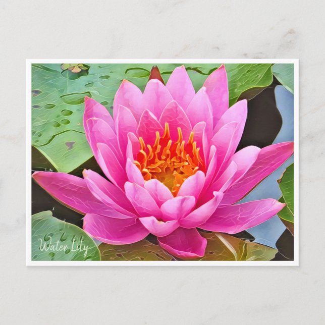 Water Lily ポストカード Postcard (Front)