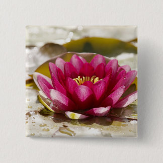 Water lily 15 cm square badge