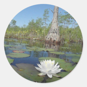 Water Lily 2 Classic Round Sticker
