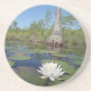 Water Lily 2 Coaster